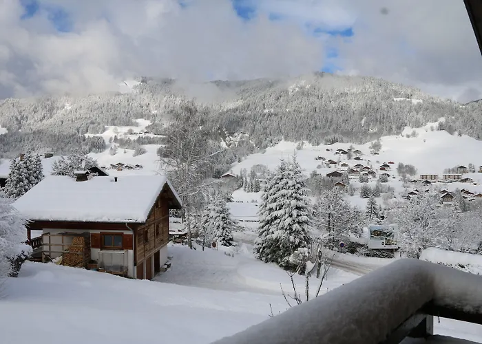 La De L'ours 4* Megève