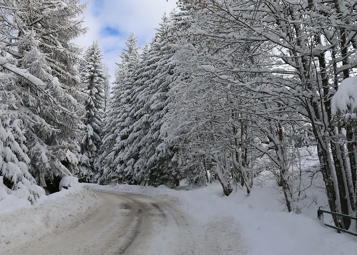 Апарт-готель La De L'ours