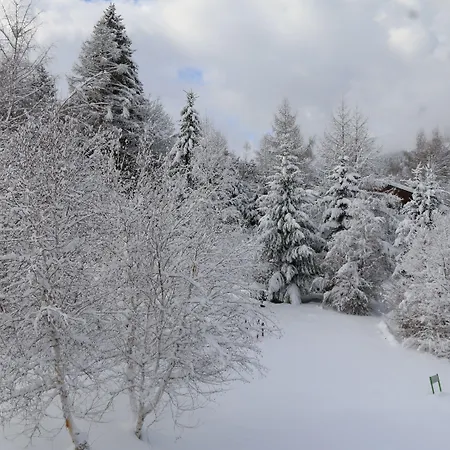 Aparthotel La De L'ours