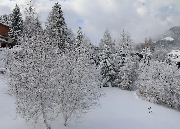 公寓式酒店 La De L'ours